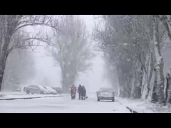 赤外線と負イオン機能を持つ重量化された肩と首の暖房パッド